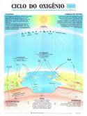 Coleção de Mapas de Ecologia